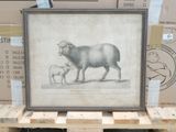 a picture of a sheep and a baby sheep on a pallet