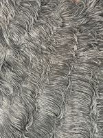 Plumes noires, Europe, vers 1890-1900 (photo 5)