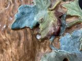 a close up of a vase with leaves on it