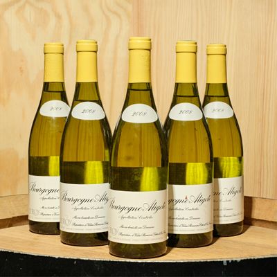 six bouteilles de vin blanc sont alignées sur un tonneau
