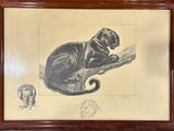 dessin représentant un chien noir assis sur une branche d'arbre, avec un chat en arrière-plan