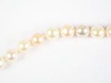 gros plan d'un collier de perles sur une surface blanche