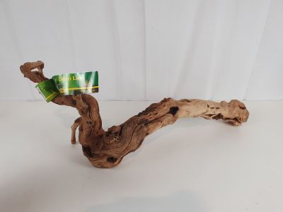 une branche d'arbre sur laquelle est posée une canette de soda