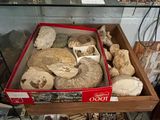 une vitrine contenant divers objets