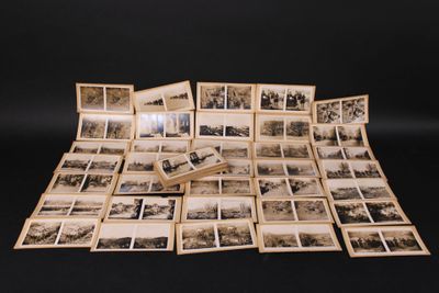 several old black and white photos of a bunch of trees