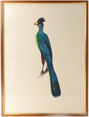 tableau représentant un oiseau bleu et vert perché sur un cadre en bois