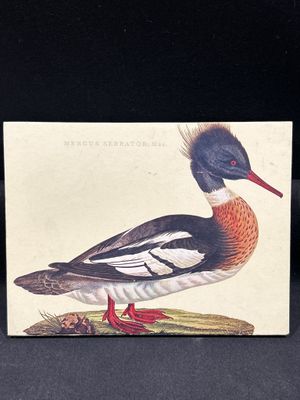 une carte sur laquelle figure un canard perché sur une branche