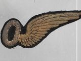 an image of a close up of a patch with a wing on it