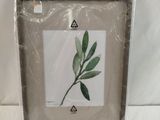 a picture of a picture of a plant in a picture frame