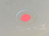 a plastic plate with a red dot on it