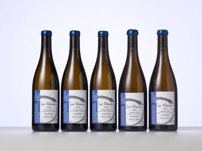 six bouteilles de vin blanc alignées sur une table