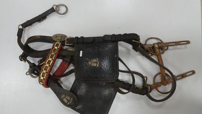 a belt that has a cell phone attached to it