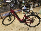 a red bike that is parked in a store
