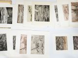 many different types of drawings on a white surface