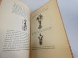 un livre ouvert sur lequel figure l'image d'une statue