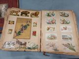 an open book with pictures of animals and flowers on it