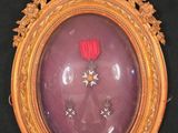 une photo d'un cadre doré contenant une rose rouge
