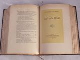 Photo 4/14 du lot