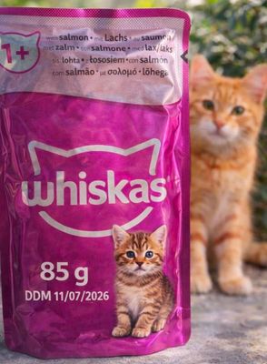 two cats standing next to a bag of cat food