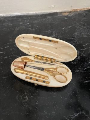 un étui contenant une paire de ciseaux et une autre paire de ciseaux
