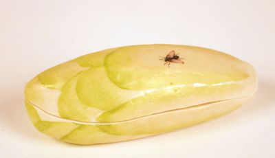 a banana with a fly on it sitting on a white surface