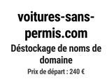 Photo 1/1 du lot