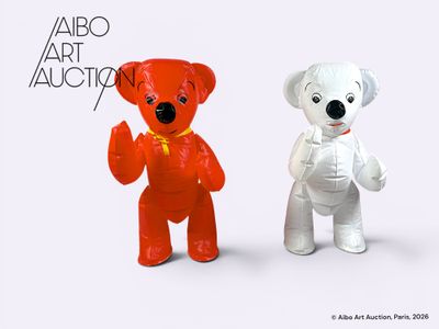 Bonne nuit les petits Un lot de deux neveux de Nounours en v…