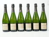 six bouteilles de vin sont alignées sur une surface blanche