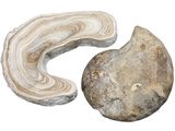 a piece of rock and a piece of rock on a white background
