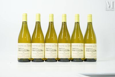 six bouteilles de vin blanc sont alignées sur une table