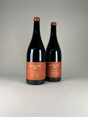 deux bouteilles de vin rouge posées sur une table