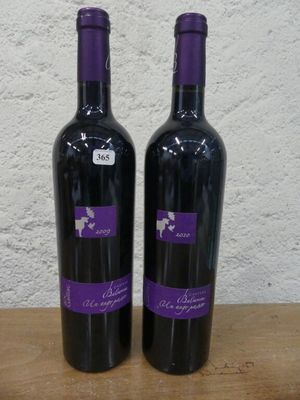 deux bouteilles de vin posées sur une table en bois