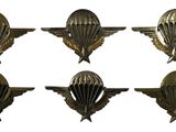 six insignes militaires ornés d'ailes, sur fond blanc