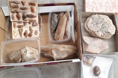a box full of different types of food in it