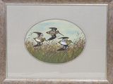 trois oiseaux qui se tiennent dans l'herbe