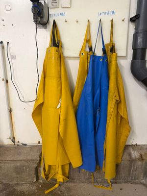 des tabliers jaunes et bleus suspendus à un mur dans un garage