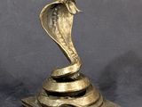 brass cobra cobra cobra cobra cobra cobra cobra cobra cobra cobra cobra cobra cobra cobra cobra cobra cobra cobra cobra cobra
