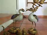 two birds that are standing next to each other on a table