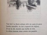 Photo 16/19 du lot
