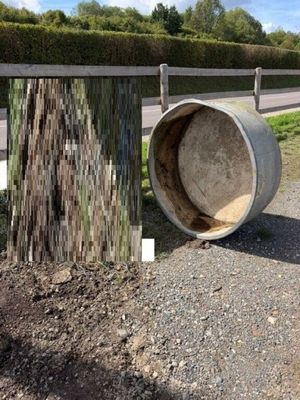 une photo d'une poubelle posée au bord de la route