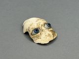 an image of a dog ' s head with blue eyes on a gray surface