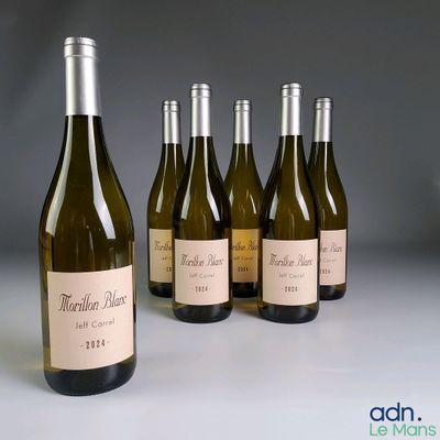 six bouteilles de vin blanc sont alignées sur une table