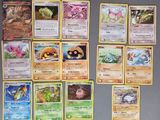 beaucoup de cartes Pokémon accrochées les unes à côté des autres sur le mur