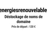 Photo 1/1 du lot