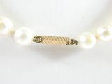 pearl necklace with a gold bar clasp on a mannequin mannequin mannequin mannequin mannequin mannequin mannequin manne