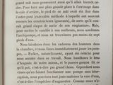 a page of a book with a picture of a cat