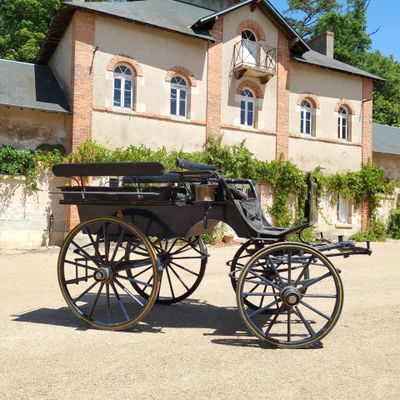 une calèche garée devant un grand immeuble