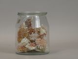 a glass jar filled with sea shells on a table