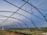 une grande serre contenant de nombreuses plantes