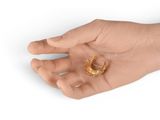 a person holding a gold ring in their hand